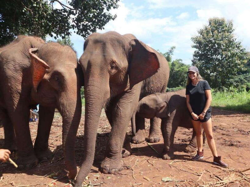 chiang-mai-elephant-sanctuary-waterfall-group-tour
