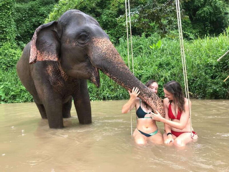 chiang-mai-elephant-sanctuary-waterfall-group-tour