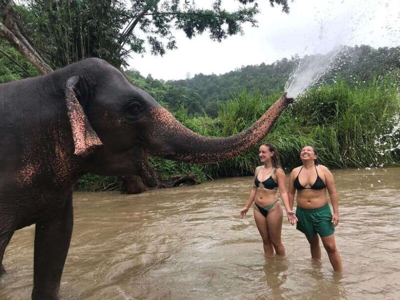 chiang-mai-elephant-sanctuary-waterfall-group-tour