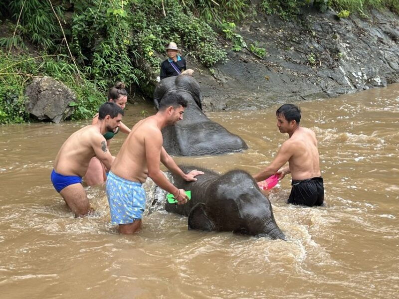 chiang-mai-elephant-sanctuary-waterfall-group-tour