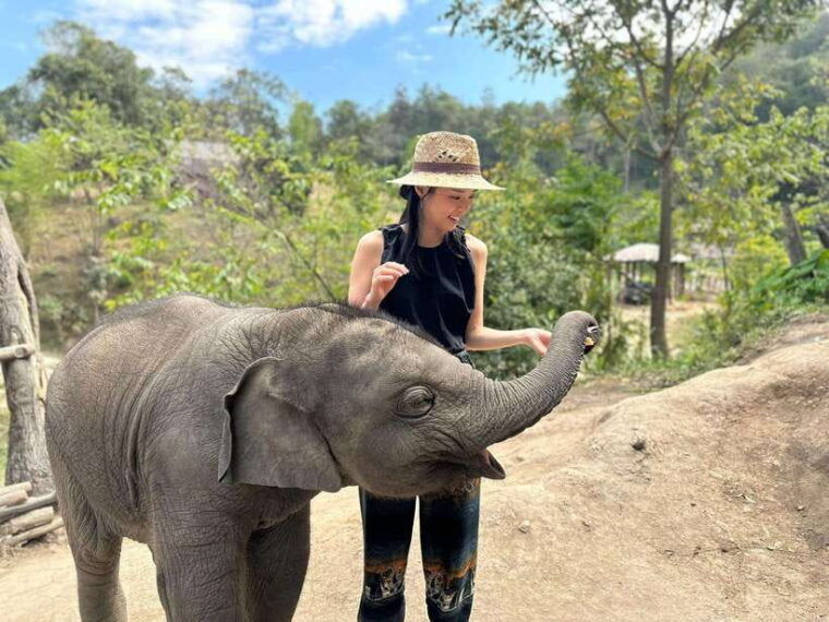 chiang-mai-elephant-sanctuary-waterfall-group-tour