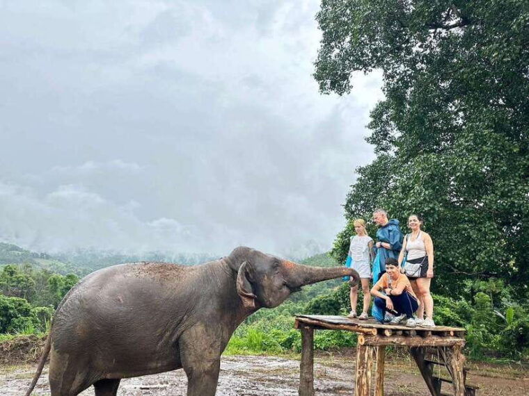 chiang-mai-elephant-sanctuary-waterfall-group-tour