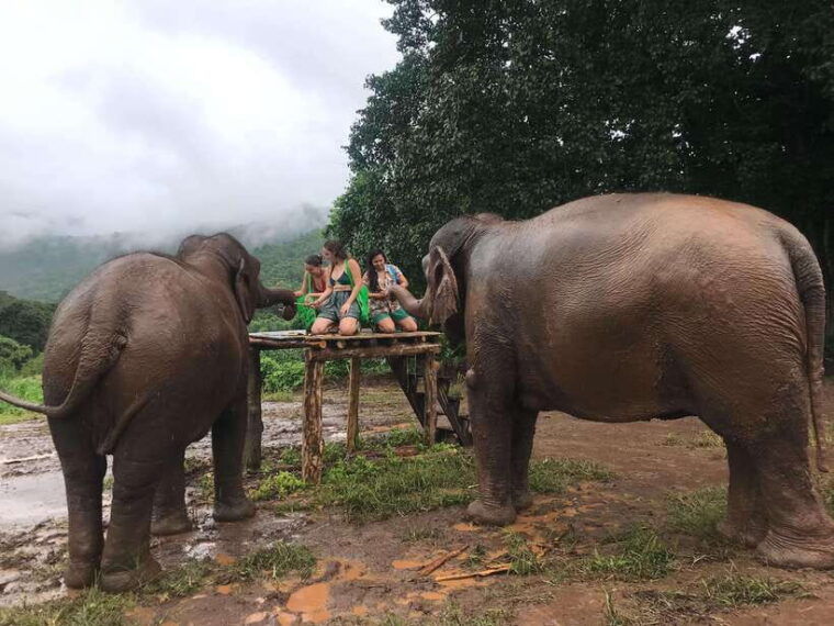 chiang-mai-elephant-sanctuary-waterfall-group-tour