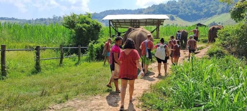 Chiang Mai Elephant Village Life: Long Neck & Bamboo Rafting - Key Points