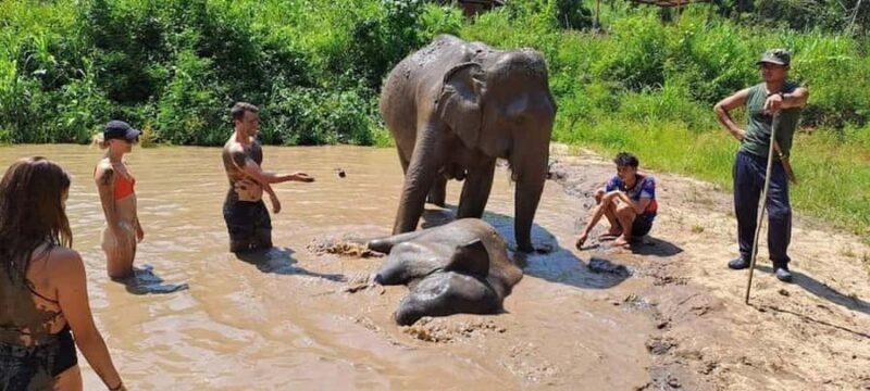 Chiang Mai Elephant Village Life: Long Neck & Bamboo Rafting - Practical Details and Value