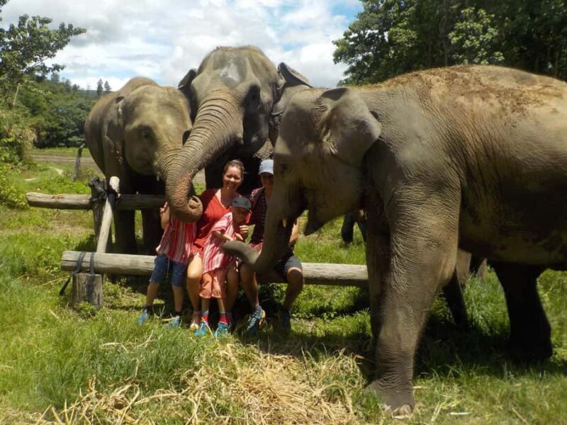 Chiang Mai Elephant Village Life: Long Neck & Bamboo Rafting - Final Thoughts