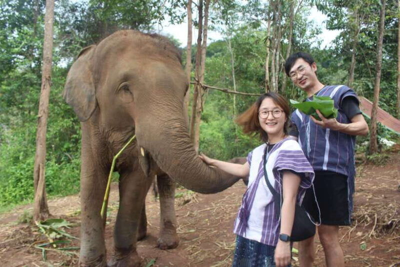 chiang-mai-elephant-village-sanctuary-jungle-adventure