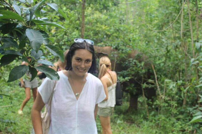 chiang-mai-elephant-village-sanctuary-jungle-adventure