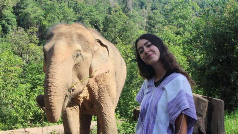 chiang-mai-elephant-village-sanctuary-jungle-adventure