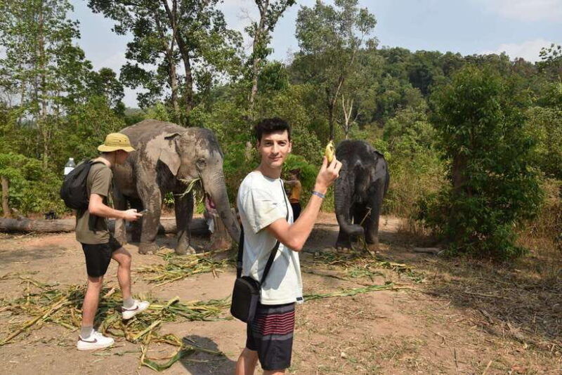 chiang-mai-elephant-village-sanctuary-visit-with-waterfall