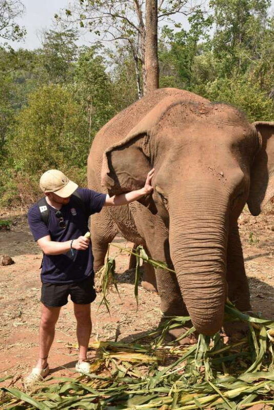 chiang-mai-elephant-village-sanctuary-visit-with-waterfall
