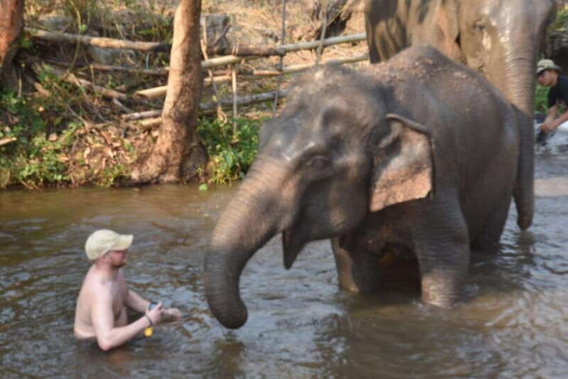 chiang-mai-elephant-village-sanctuary-visit-with-waterfall
