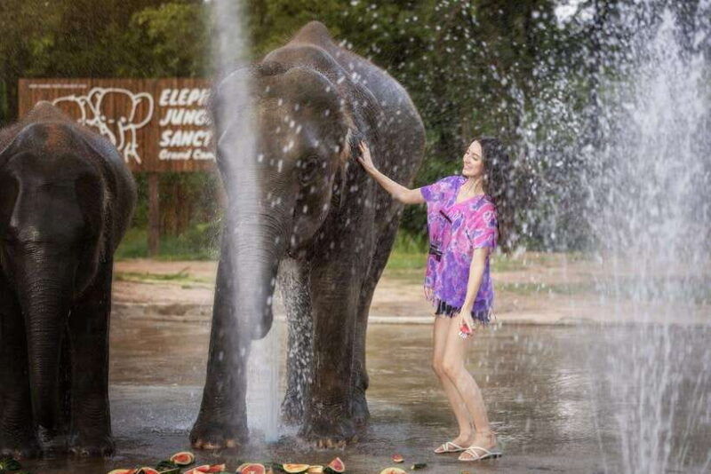 chiang-mai-ethical-elephant-feeding-shower-program