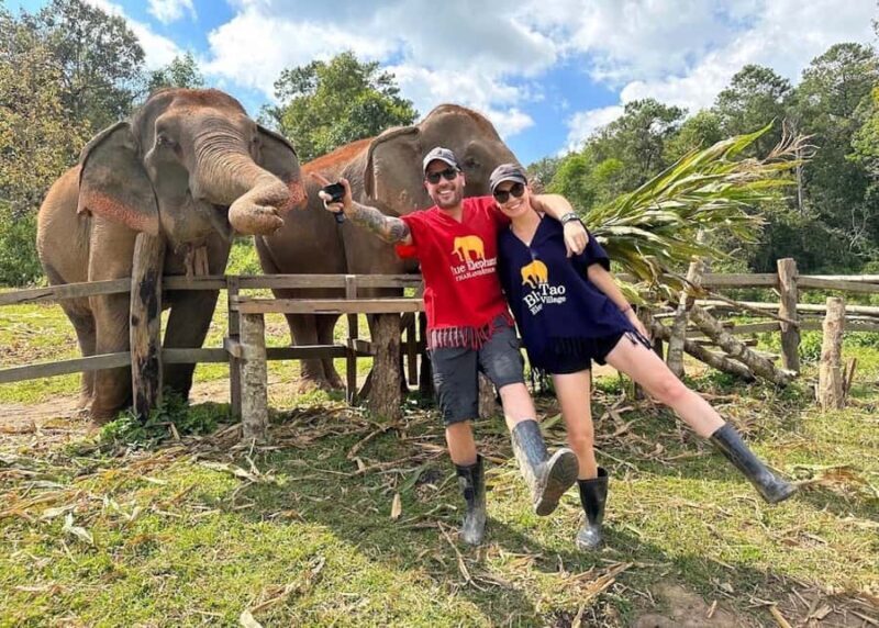 Chiang Mai : Ethical Elephant Sanctuary and ATV Adventure - A Closer Look at the Day’s Journey