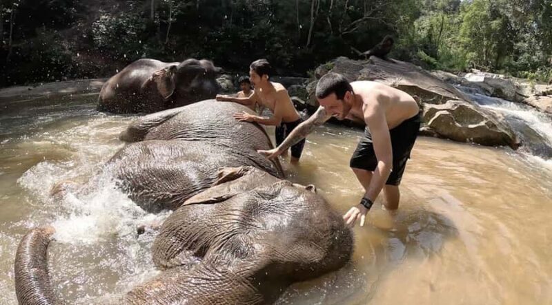 Chiang Mai : Ethical Elephant Sanctuary and ATV Adventure - Considerations and Potential Downsides