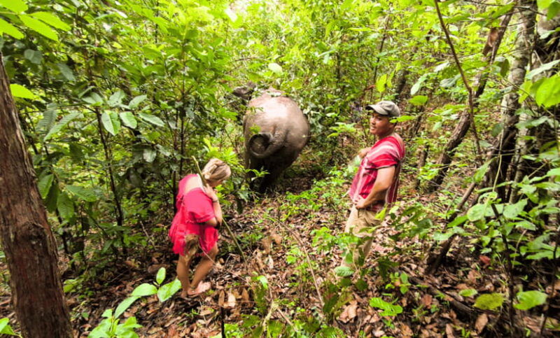 chiang-mai-ethical-half-day-elephant-sanctuary-waterfall