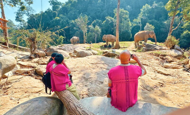 chiang-mai-ethical-half-day-elephant-sanctuary-waterfall