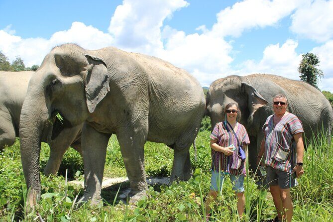 Chiang Mai Ethical Watching Elephant Sanctuary tour - An In-Depth Look at the Chiang Mai Elephant Sanctuary Tour