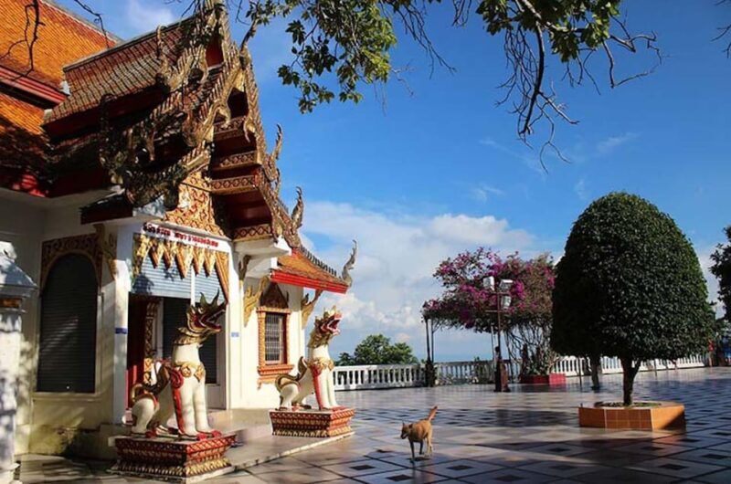 Chiang Mai Evening Tour WAT UMONG and DOI SUTHEP Temples - Transportation & Group Size