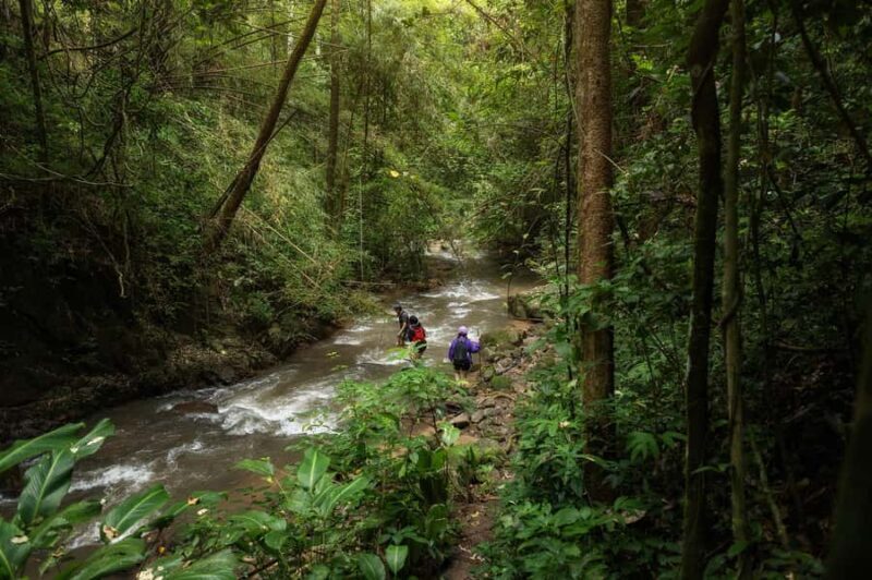Chiang Mai : Follow the River in Chiang Dao Full Day Hiking - Key Points