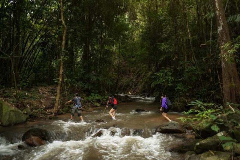 Chiang Mai : Follow the River in Chiang Dao Full Day Hiking - Exploring the Mae Mae Village Nature Trail: What You Can Expect