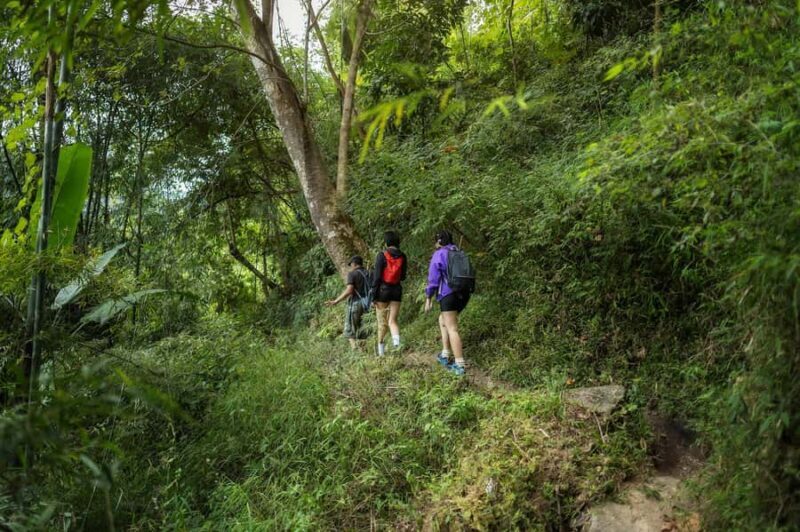Chiang Mai : Follow the River in Chiang Dao Full Day Hiking - Final Thoughts: Who Will Love This Tour?