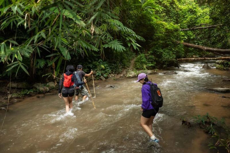 Chiang Mai : Follow the River in Chiang Dao Full Day Hiking - FAQ