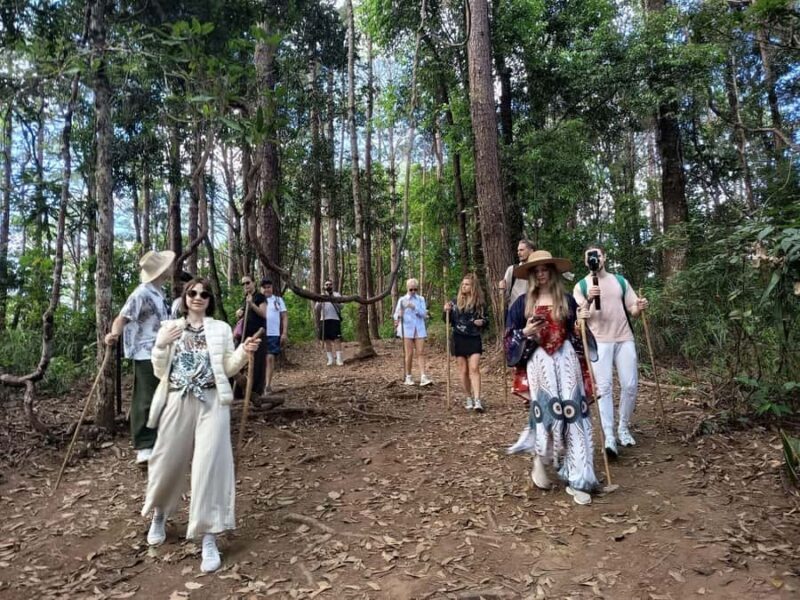 Chiang Mai: Forest Trekking & Visit Hill Tribe Village - Practical Details and What to Expect