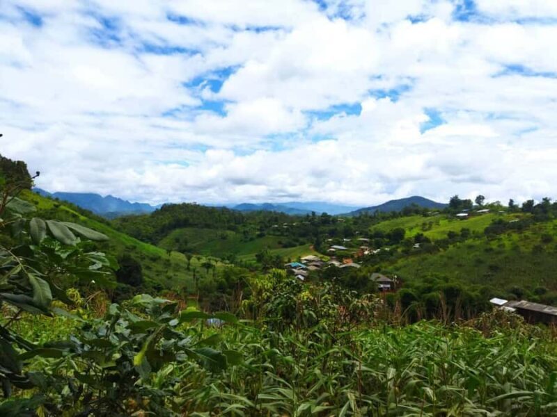 Chiang Mai: Full Day 5 Hill Tribes Tour - Logistics and Practicalities