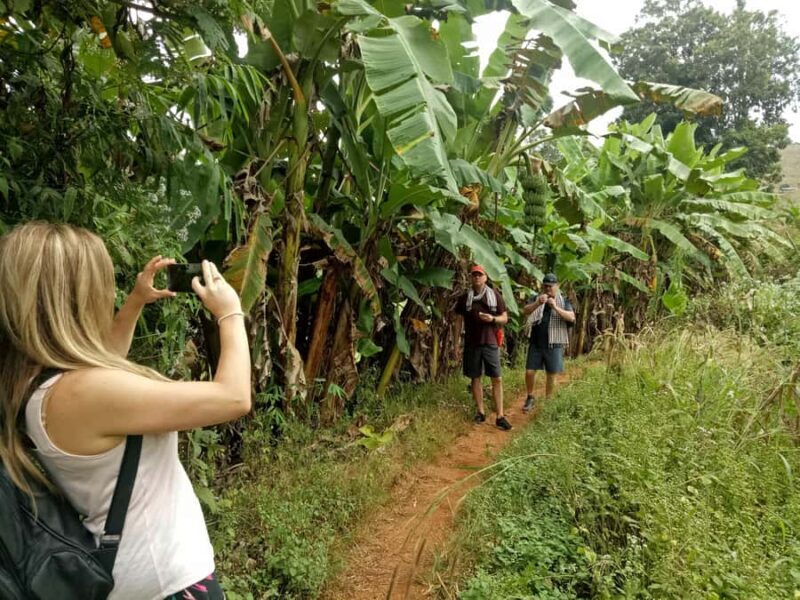 Chiang Mai: Full Day 5 Hill Tribes Tour - Final Thoughts: Is It Worth It?