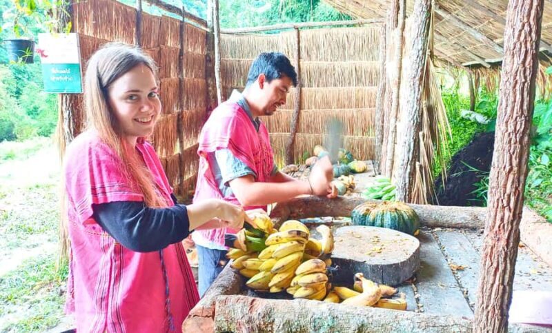 Chiang Mai: Full Day Ethical Elephant Sanctuary & Waterfall - Practical Details and Value