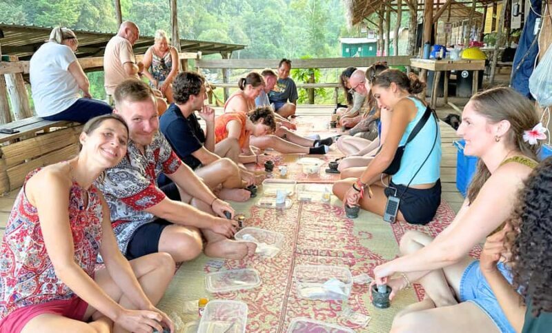 Chiang Mai: Full Day Ethical Elephant Sanctuary & Waterfall - Who Should Consider This Tour?