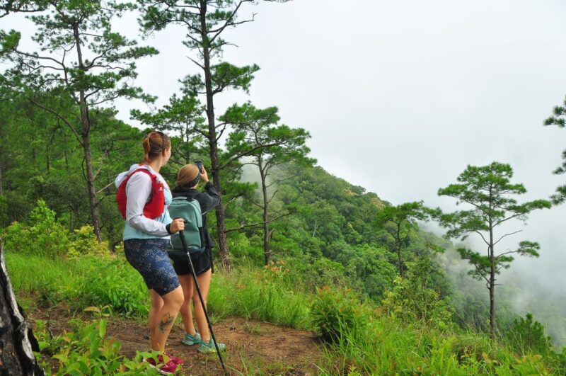 Chiang Mai: Full-Day Hiking Tour by Trailhead - Who This Tour Is Best For