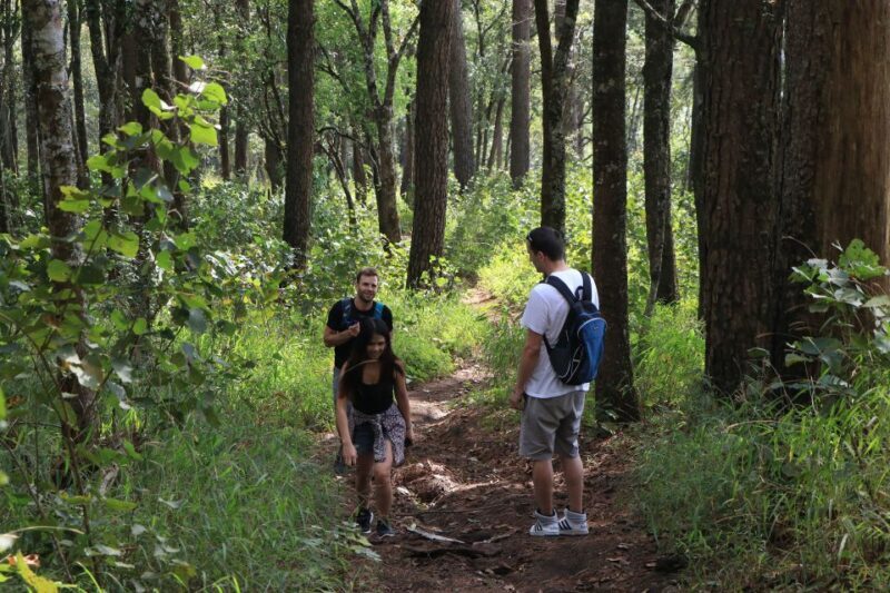 Chiang Mai: Full-Day Hiking Tour by Trailhead - FAQs