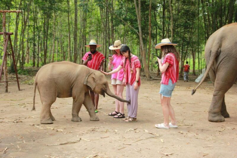 chiang-mai-full-day-kerchor-elephant-eco-park-tour-trek