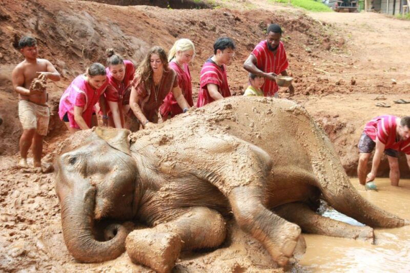 chiang-mai-full-day-kerchor-elephant-eco-park-tour-trek