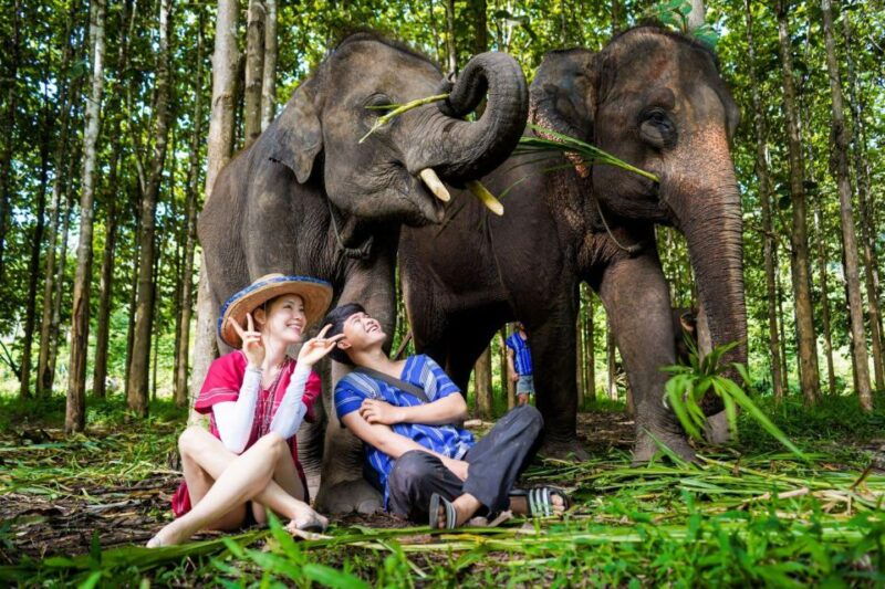 chiang-mai-full-day-kerchor-elephant-eco-park-tour-trek