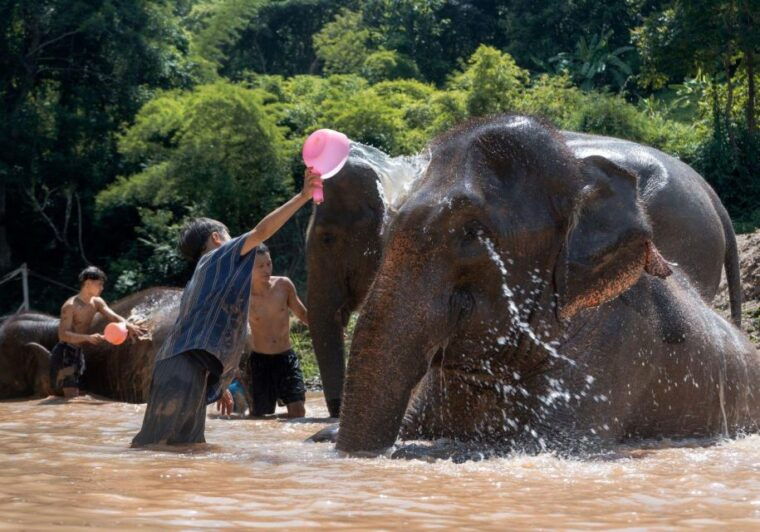 chiang-mai-full-day-kerchor-elephant-eco-park-tour-trek