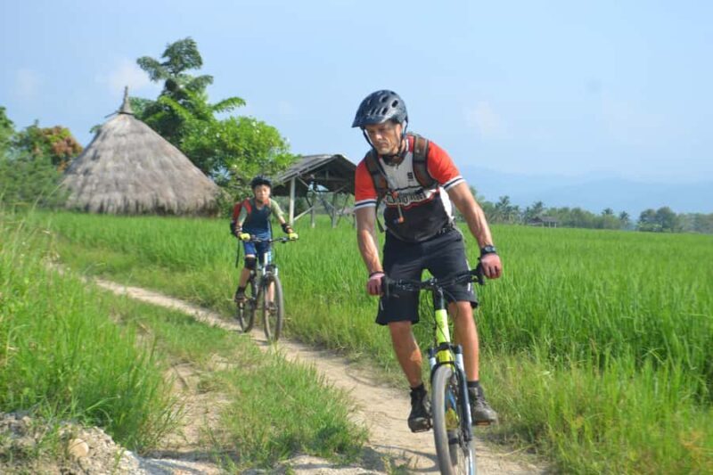 Chiang Mai: Full-Day Nature & Countryside by Bicycle - Authentic Experiences That Keep Coming Back
