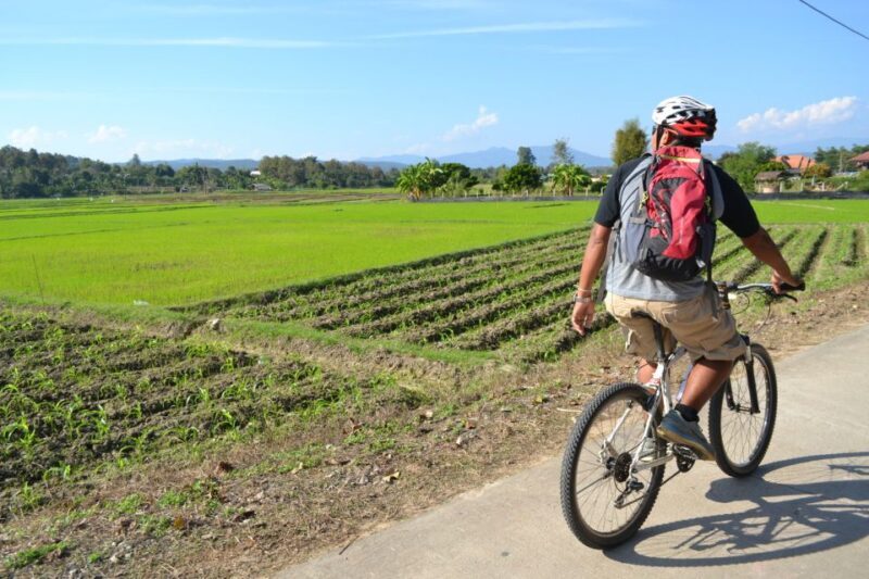 Chiang Mai: Full-Day Nature & Countryside by Bicycle - Who Should Consider This Tour?
