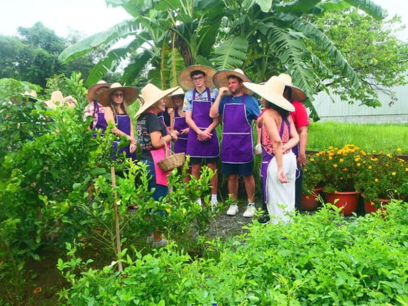 Chiang Mai: Full-Day Thai Cooking Experience at a Local Farm - Who Will Love This Tour?