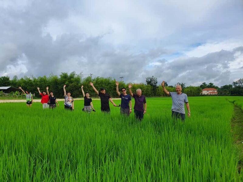 Chiang Mai: Full-Day Yoga & Meditation Experience with Lunch - Who Should Consider This Experience?