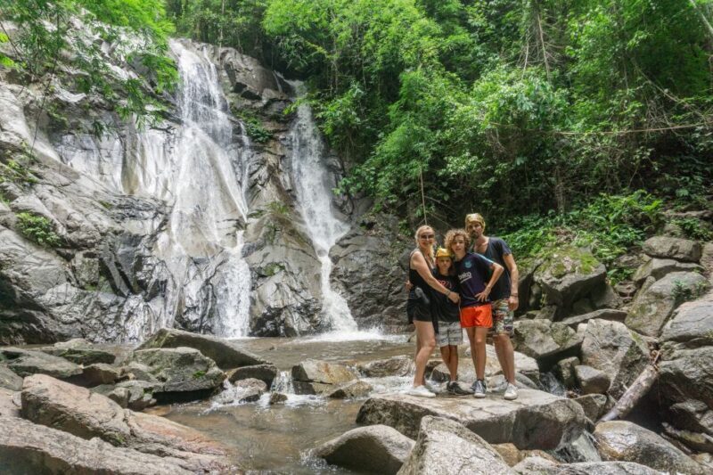 Chiang Mai: Guided Jungle and Waterfall Trek with Transfer - What to Expect from the Jungle and Waterfall Tour in Chiang Mai