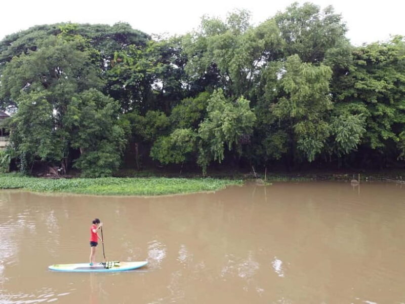 Chiang Mai: Guided Nature SUP Adventure - Authentic Insights from Reviews