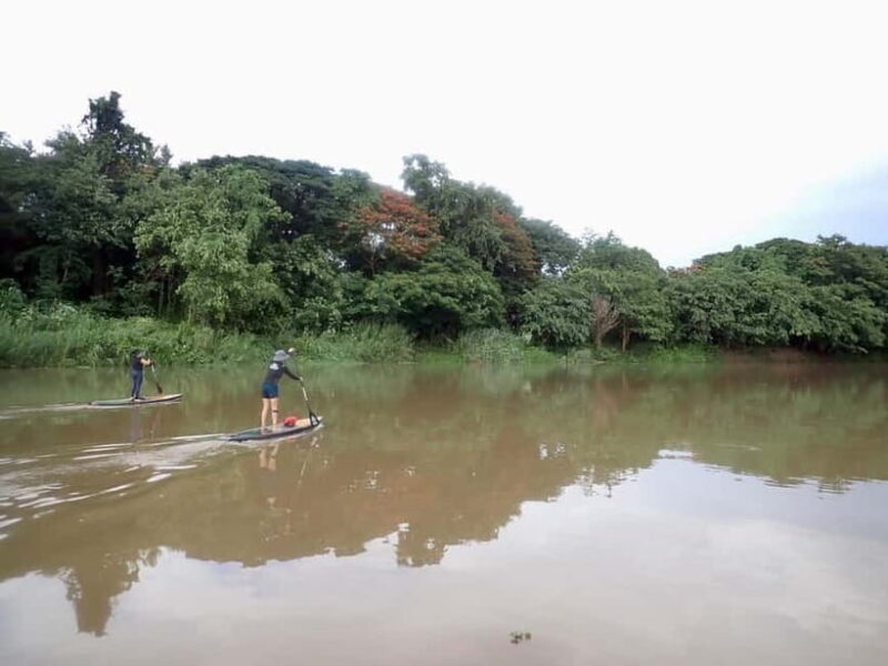 Chiang Mai: Guided Nature SUP Adventure - The Sum Up