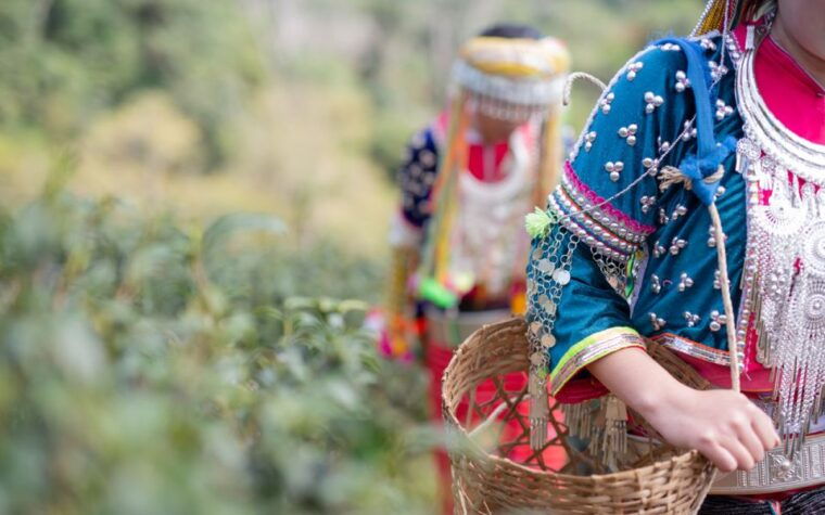 chiang-mai-half-day-doi-suthep-and-meo-village