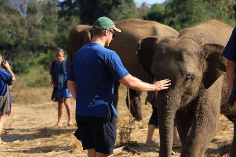chiang-mai-half-day-elephant-sanctuary-bamboo-rafting
