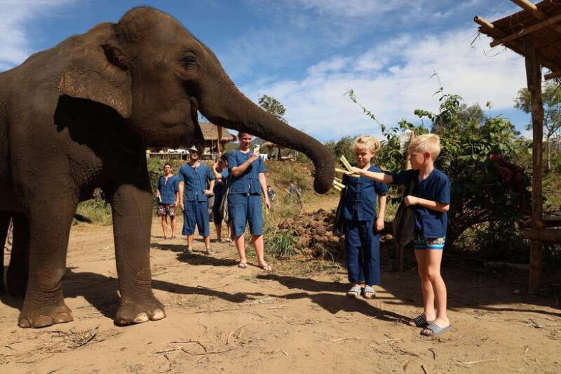 chiang-mai-half-day-elephant-sanctuary-bamboo-rafting