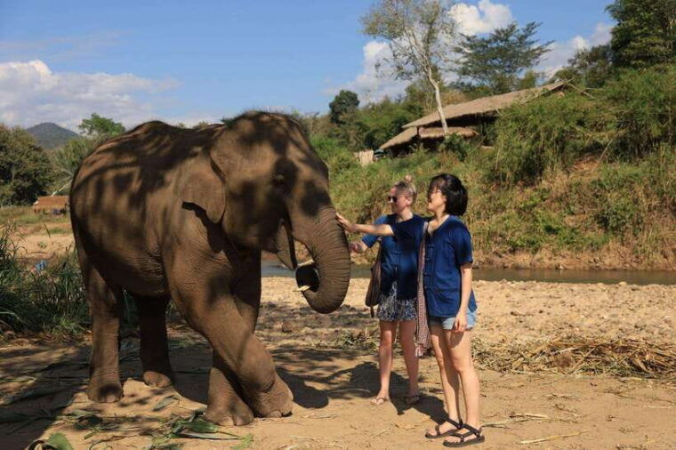 chiang-mai-half-day-elephant-sanctuary-bamboo-rafting