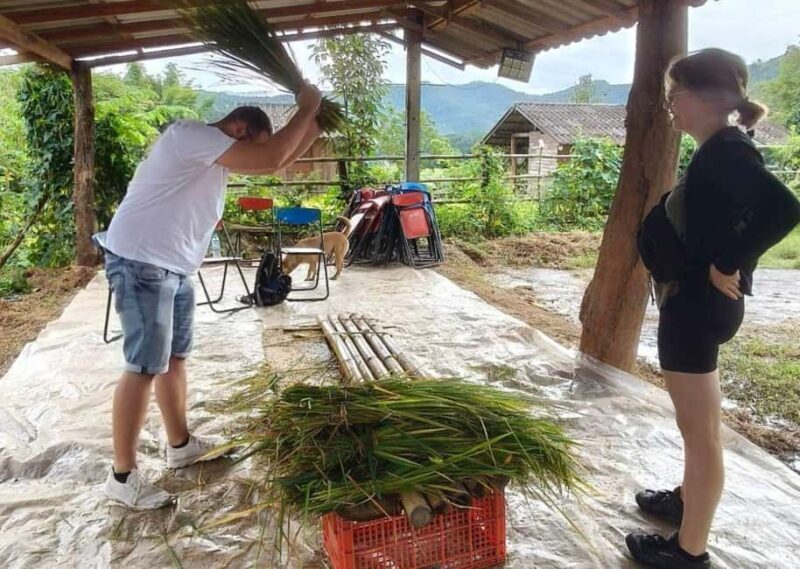 Chiang Mai: Half-Day Rice Farming Experience - An In-Depth Look at the Chiang Mai Rice Farming Tour